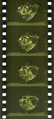 Morceau de la pellicule du film Butterfly Dance, avec Annabelle Whitford Moore