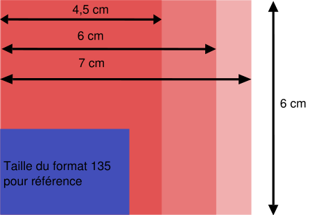 Format de pellicule photographique